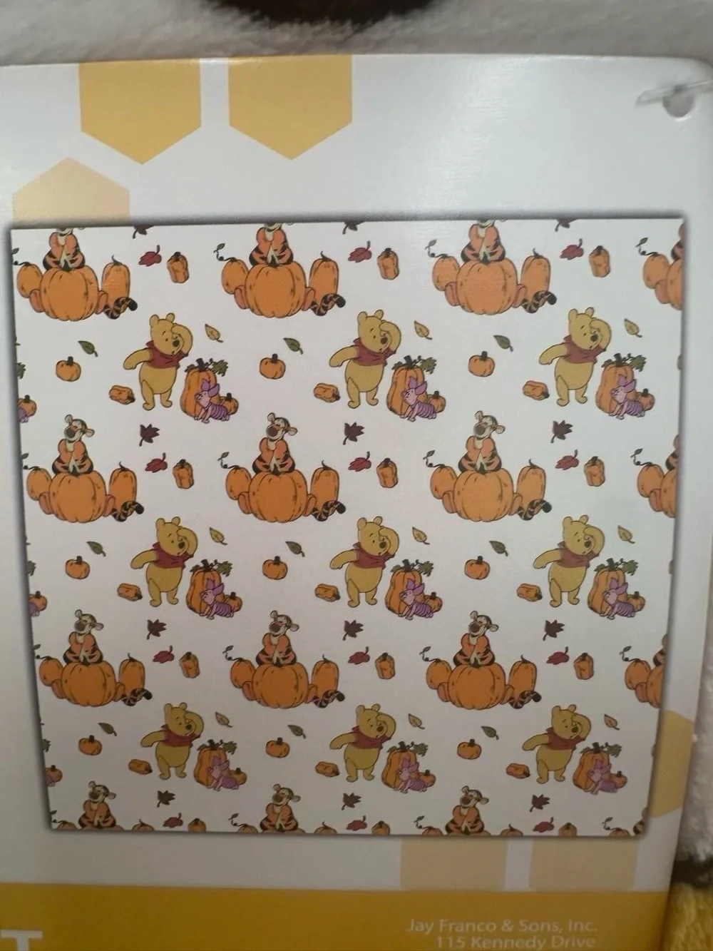 Disney Winnie the Pooh & Friends Plush Blanket, Queen Size